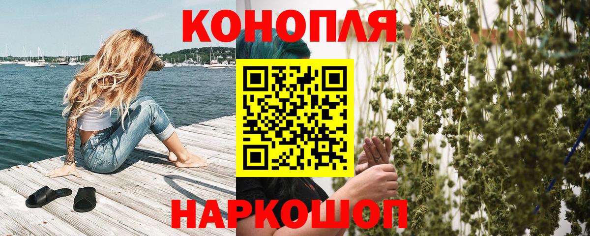 Конопля планчик Торжок